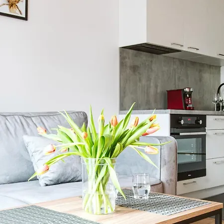 Apartahotel Symphony Square Breslavia